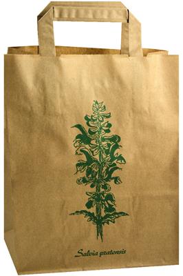 Sacs en papier kraft avec impression plante 2 l WEPA