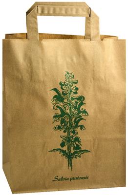 <p>Sac 5 litres, 22x28x10cm, en papier kraft brun, qualité 70 g /m2, avec impression recto / verso, motif: plante: SALVIA PRATENSIS en vert, avec anses.  </p>